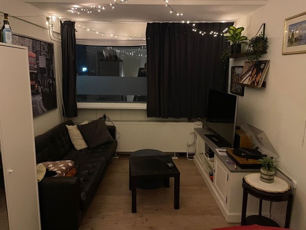 WhatsApp Image 2026-02-17 at 11.33.09.jpeg